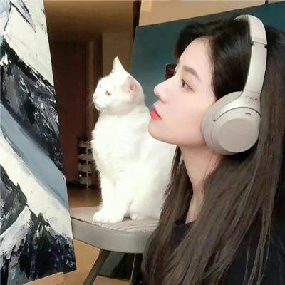 蛛网屋
